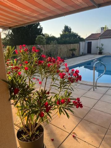 Les Voyages De Louison Bed & Breakfast Lavardac Exterior photo